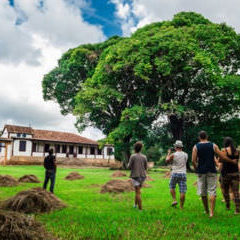 Two couples walking towards a house with a big tree - Estate Planning Attorney